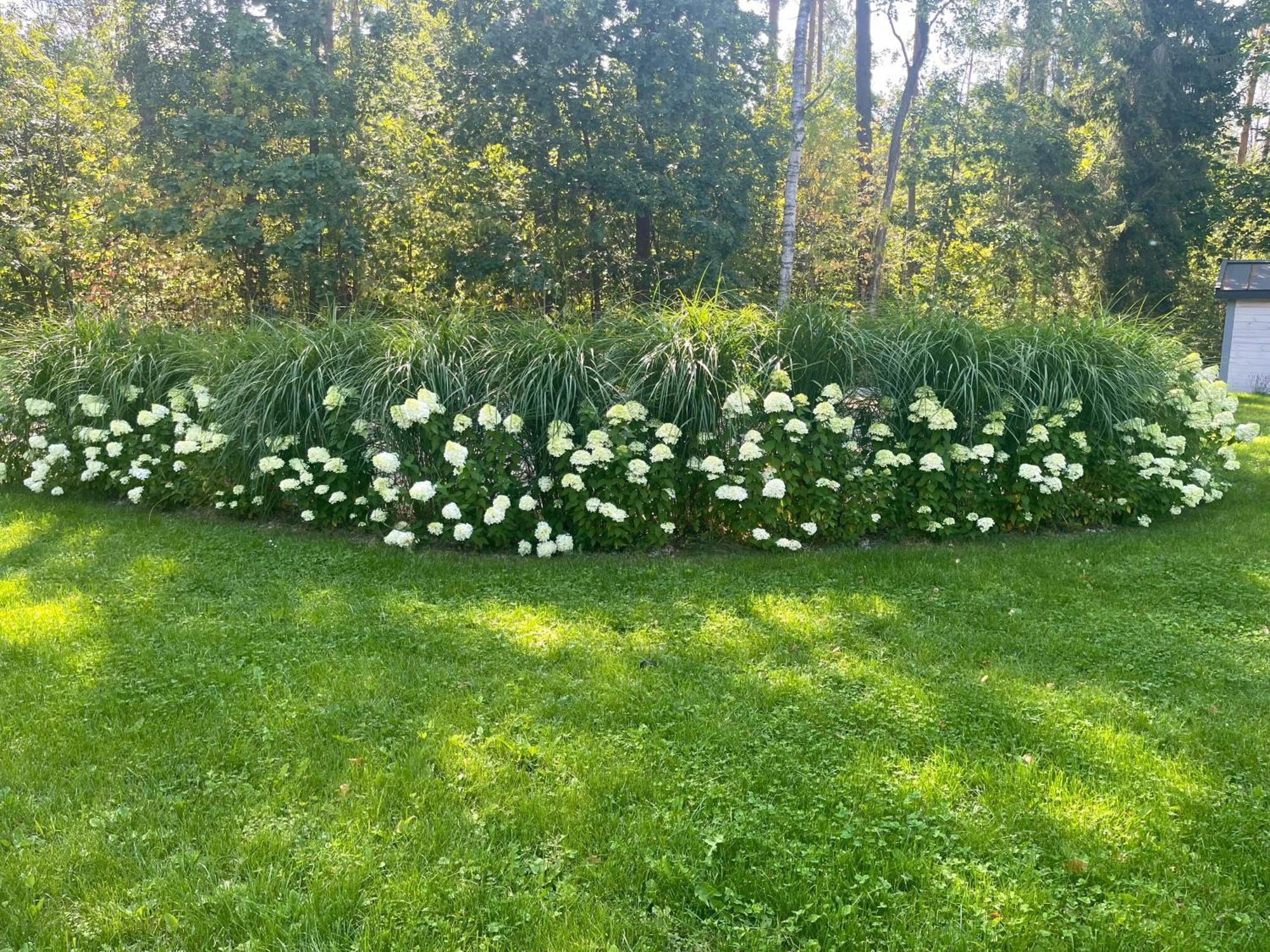 Orzyny Summer House Екстер'єр фото